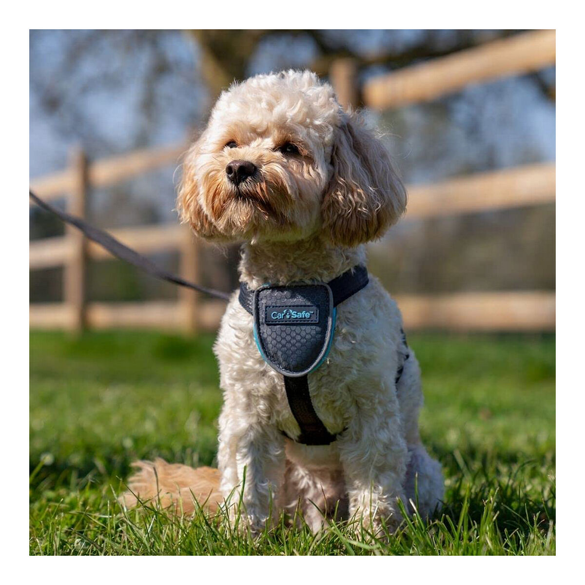 Dog Harness Company of Animals CarSafe Black XS-9
