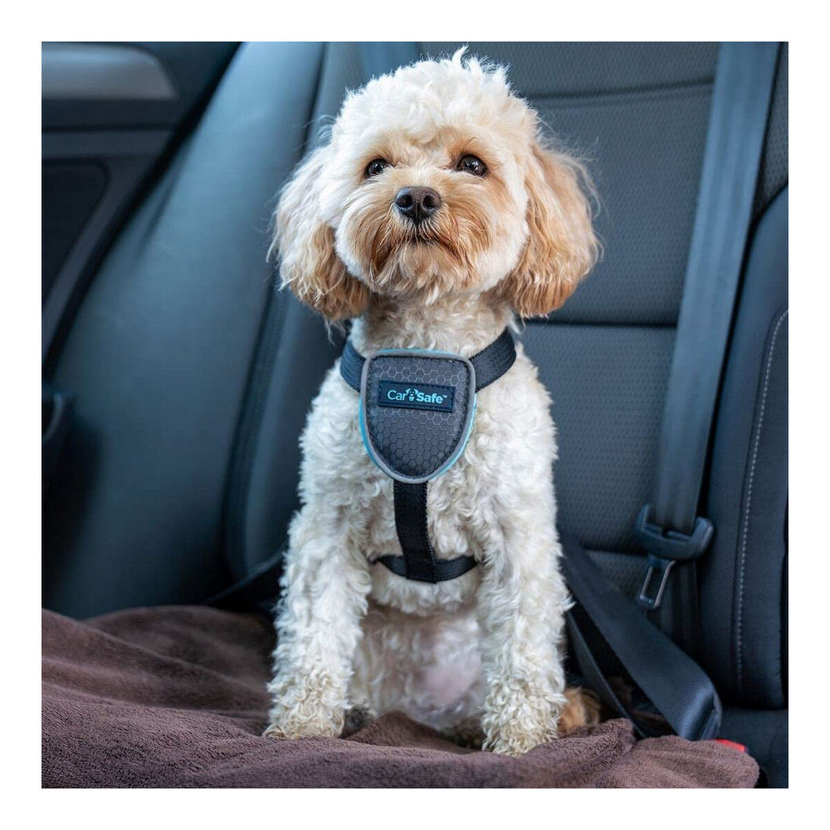 Dog Harness Company of Animals CarSafe Black XS-10