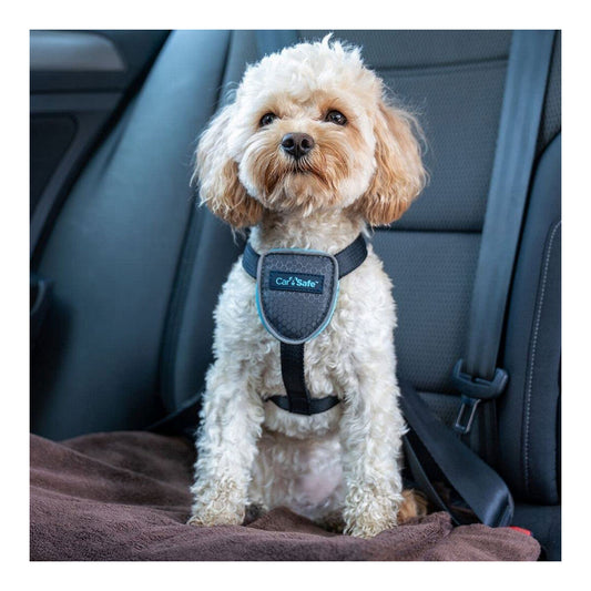 Dog Harness Company of Animals CarSafe Black XS-10