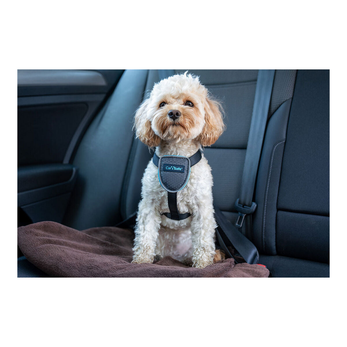 Dog Harness Company of Animals CarSafe Black XS-6