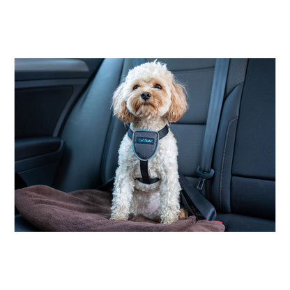 Dog Harness Company of Animals CarSafe Black XS-6