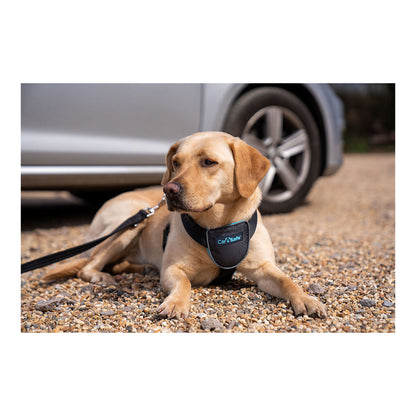 Dog Harness Company of Animals CarSafe Black XS-3