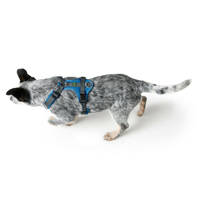 Dog Harness Hunter Maldon Up Blue 50-84 cm-2