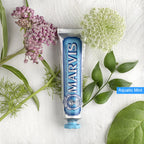 Toothpaste 85Ml,Deep Clean & Long-Lasting Freshness,Cavity Protection,Non-Irritating & Refreshing Taste,Daily Breath Care