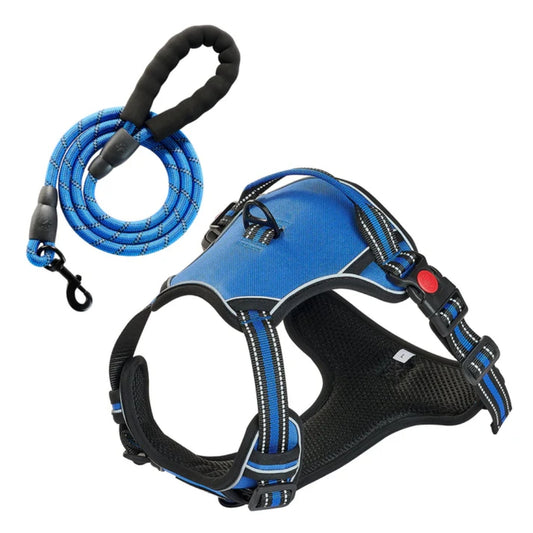 Adjustable No-Pull Reflective Dog Harness & 5ft Leash Set