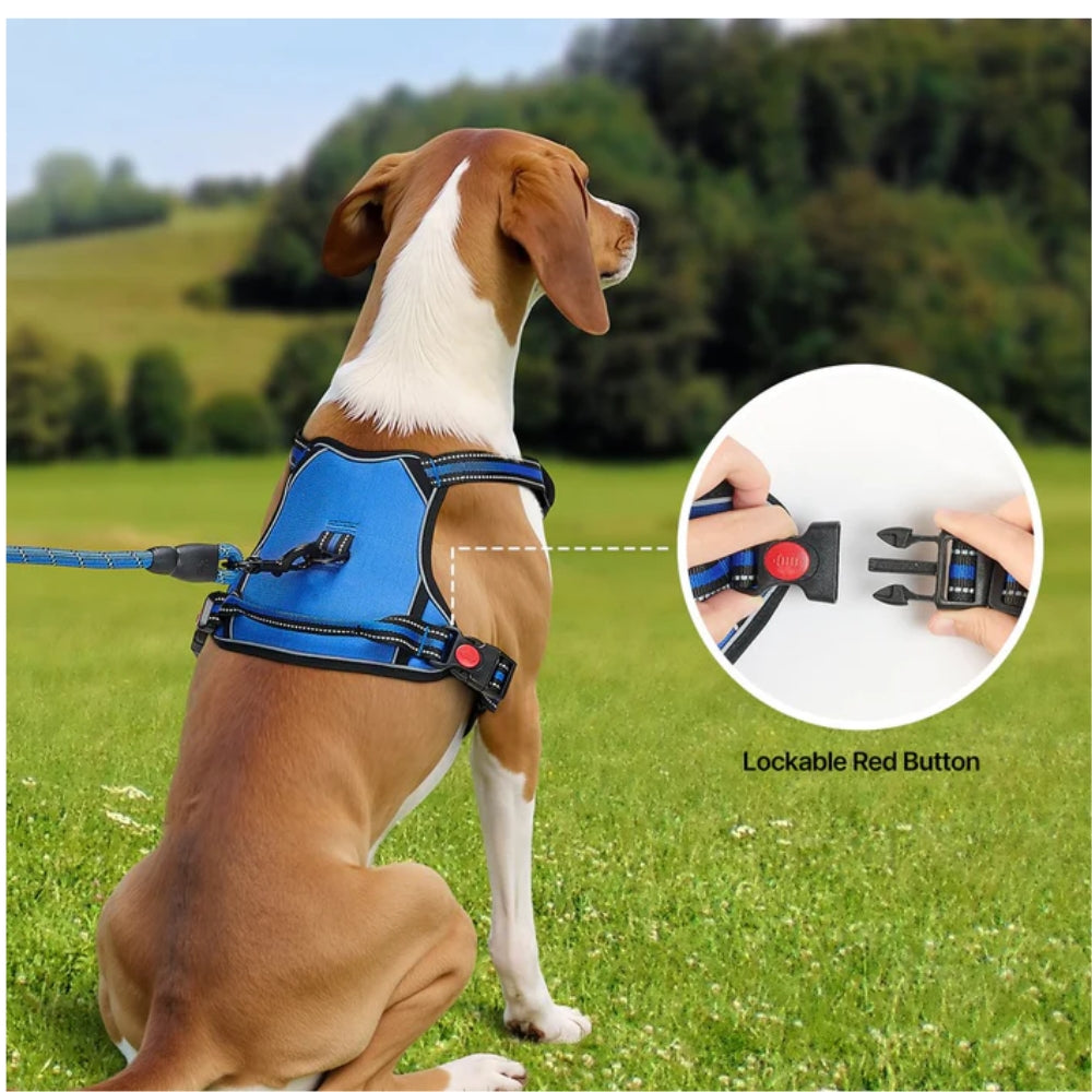 Adjustable No-Pull Reflective Dog Harness & 5ft Leash Set
