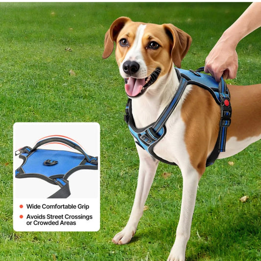 Adjustable No-Pull Reflective Dog Harness & 5ft Leash Set