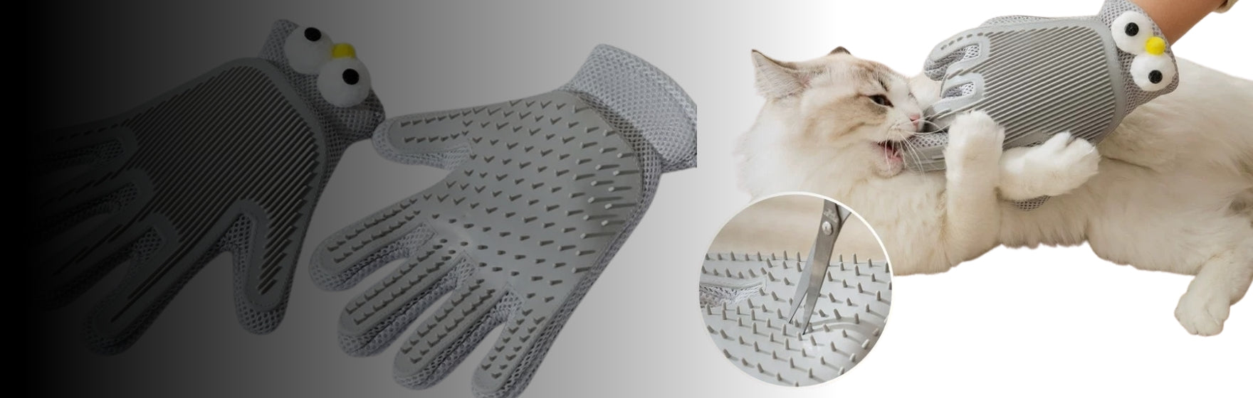Best Pet Hair Removal